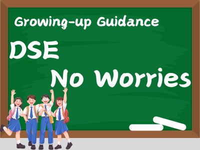DSE No worries